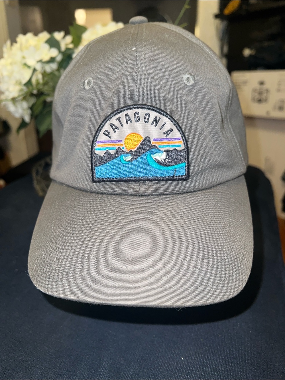 Patagonia Hat